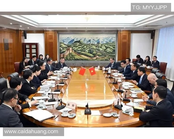 中国与越南的历史渊源与现代发展对比分析探讨两国未来合作潜力